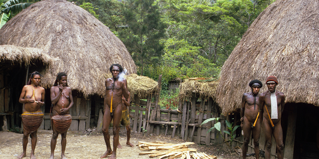 Papoea's van de Dani-stam in hun dorpje in de Baliemvallei.